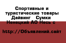 Спортивные и туристические товары Дайвинг - Сумки. Ненецкий АО,Несь с.